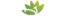 Plant Kuching-Selling real live plants
