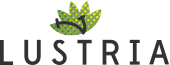 Plant Kuching-Selling real live plants